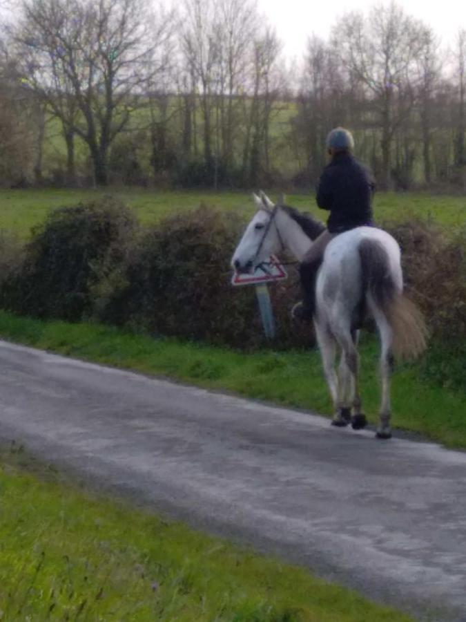 Le Clos Saint Jean Dragey Buitenkant foto